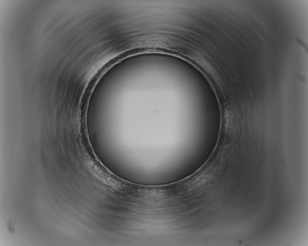 X0000101681020200807171406