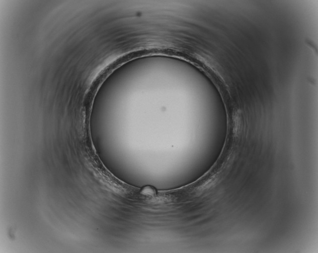 X0000101681021200807171406