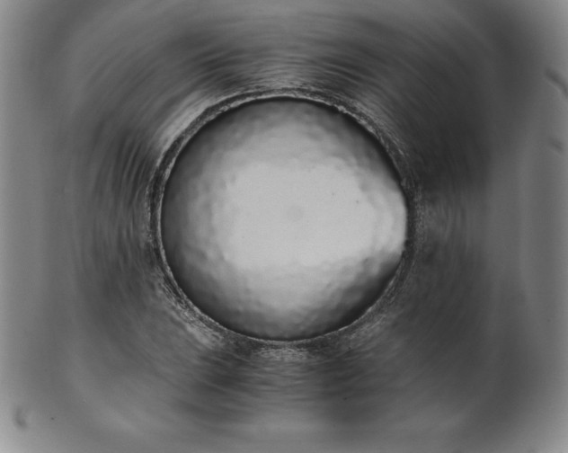 X0000101681023200807171406