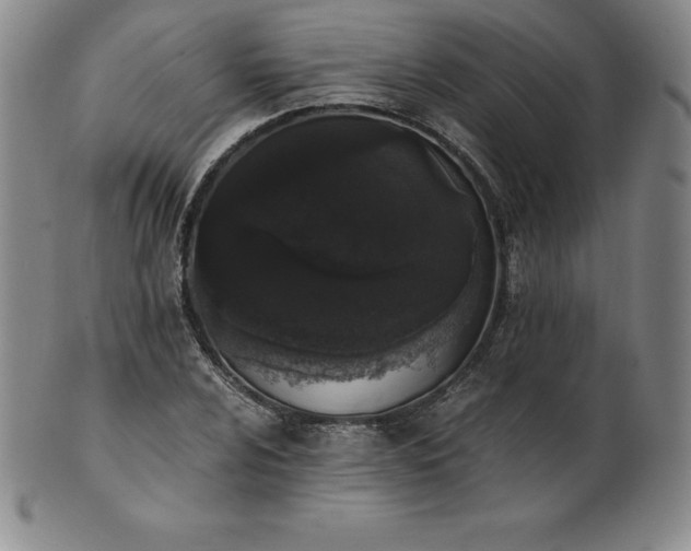 X0000101681024200807171407