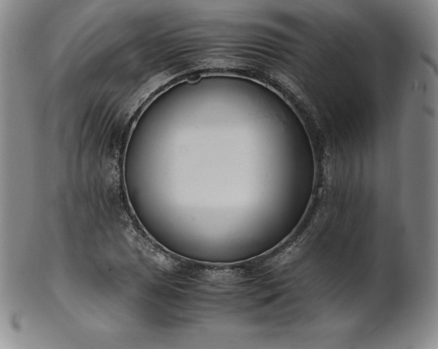 X0000101681025200807171407