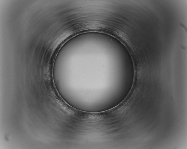 X0000101681026200807171407