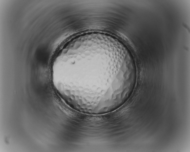 X0000101681027200807171407