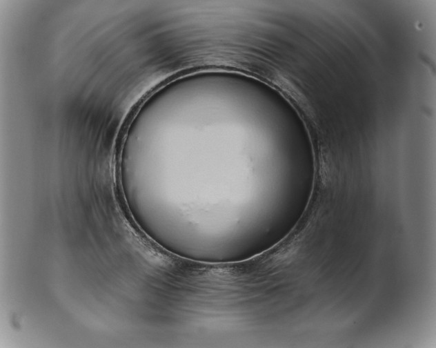 X0000101681028200807171407