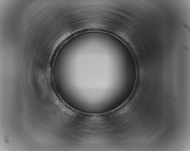 X0000101681029200807171407