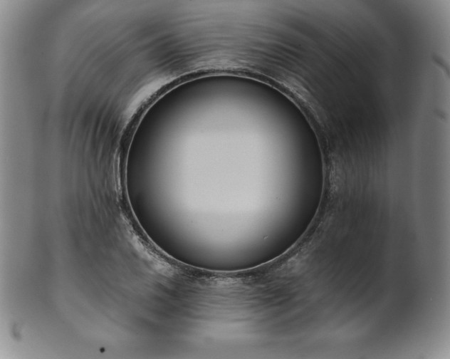 X0000101681030200807171407