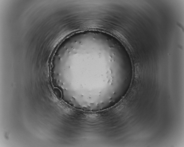 X0000101681031200807171407