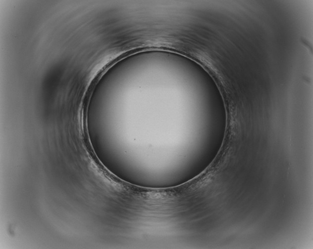 X0000101681032200807171407