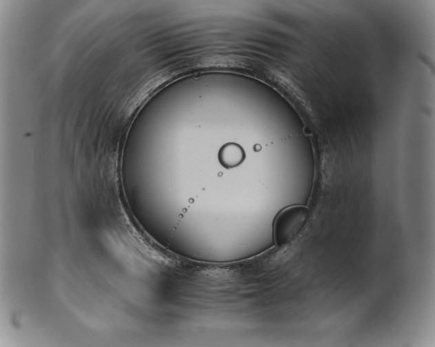 X0000101681033200807171407