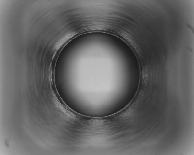 X0000101681034200807171407