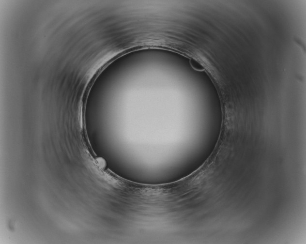 X0000101681036200807171407