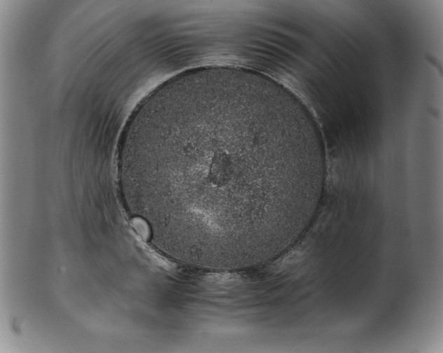 X0000101681037200807171407