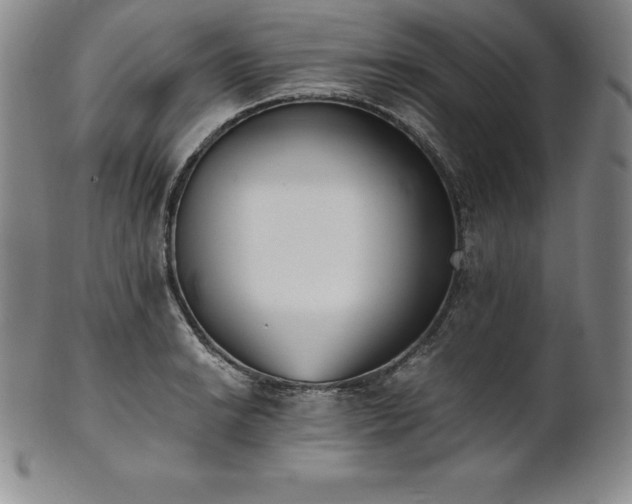 X0000101681038200807171407