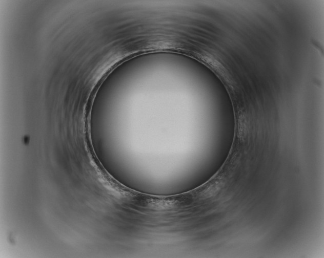 X0000101681039200807171407