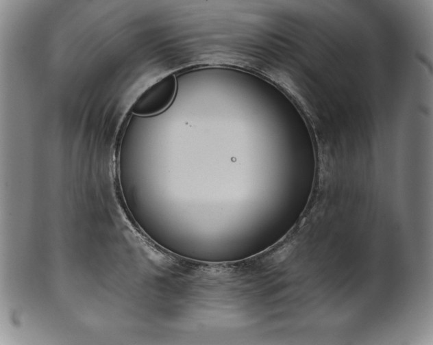 X0000101681040200807171407