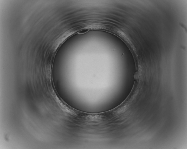 X0000101681041200807171407