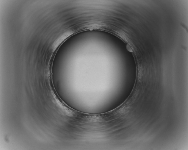 X0000101681042200807171407