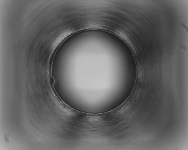 X0000101681043200807171407