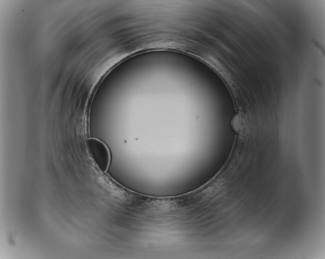 X0000101681044200807171407