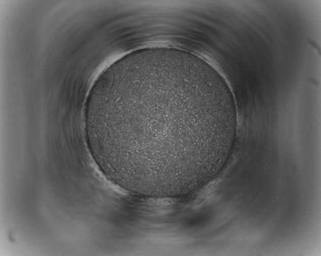 X0000101681045200807171407