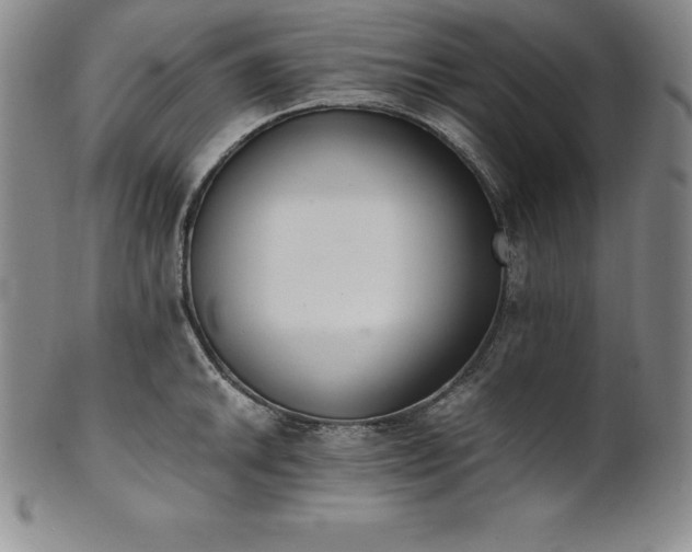 X0000101681046200807171407