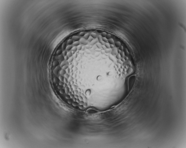 X0000101681047200807171407