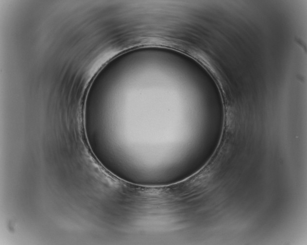 X0000101681048200807171407