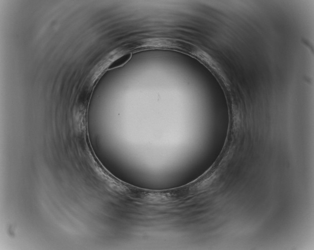 X0000101681049200807171407