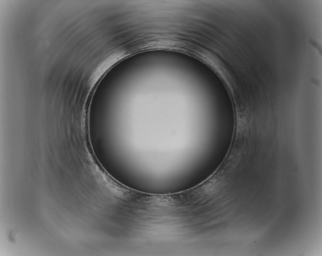 X0000101681050200807171407