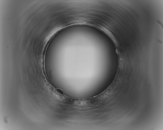 X0000101681051200807171407