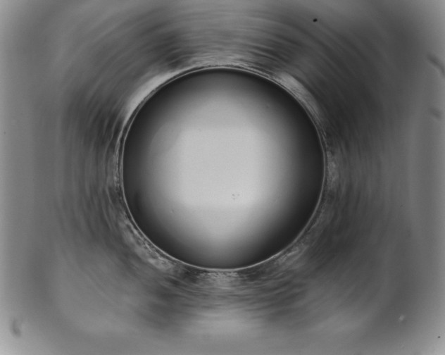 X0000101681052200807171407