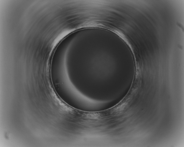 X0000101681053200807171407