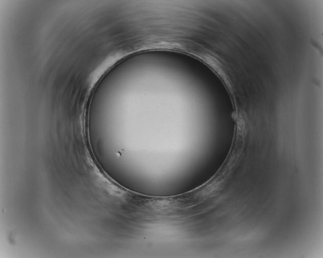 X0000101681054200807171407