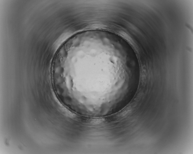 X0000101681055200807171407