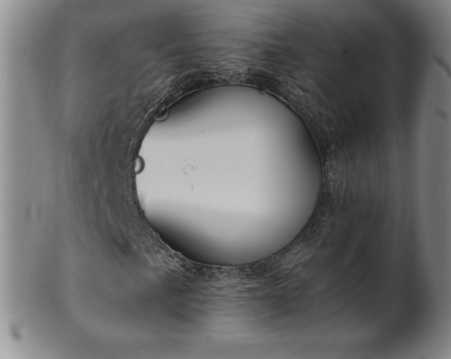 X0000101681057200807171406