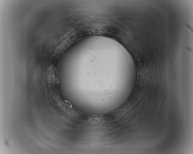 X0000101681058200807171406