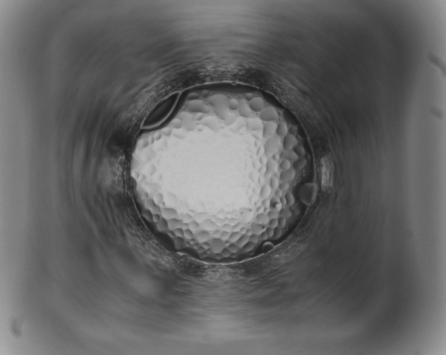 X0000101681059200807171406