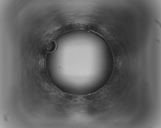 X0000101681061200807171406