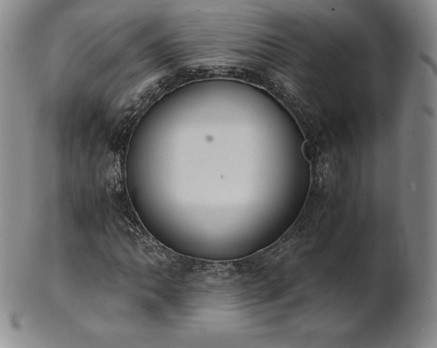 X0000101681062200807171406