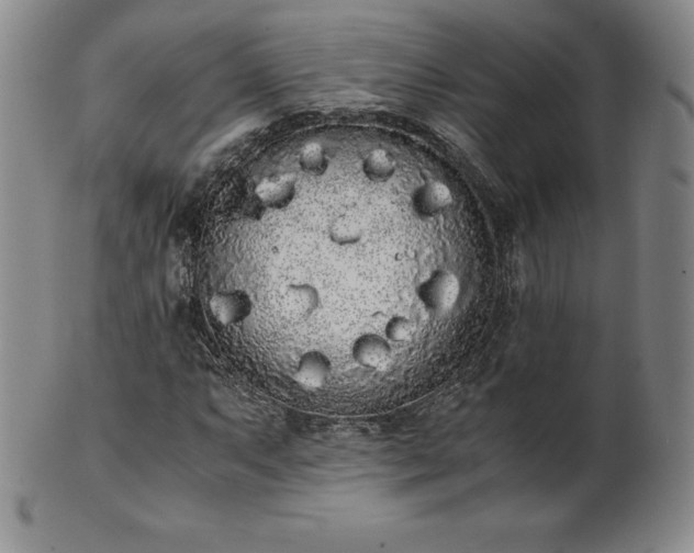 X0000101681063200807171406