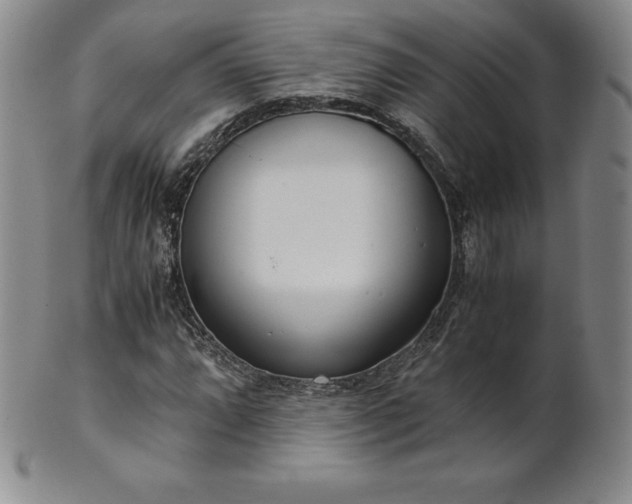 X0000101681064200807171406