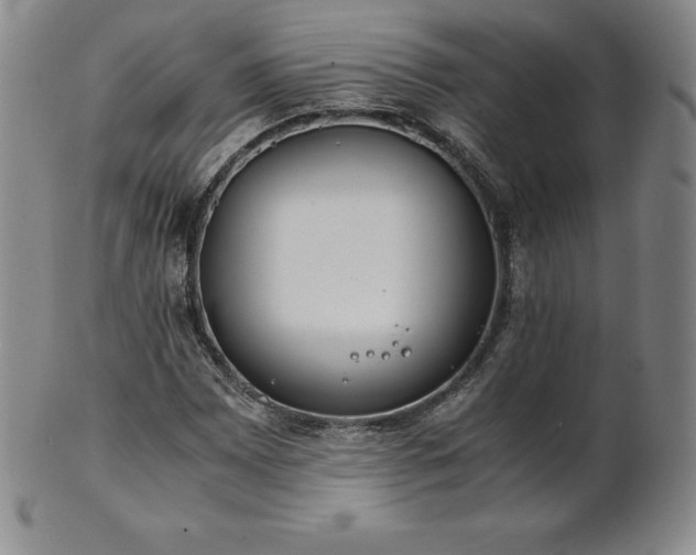 X0000101681065200807171406