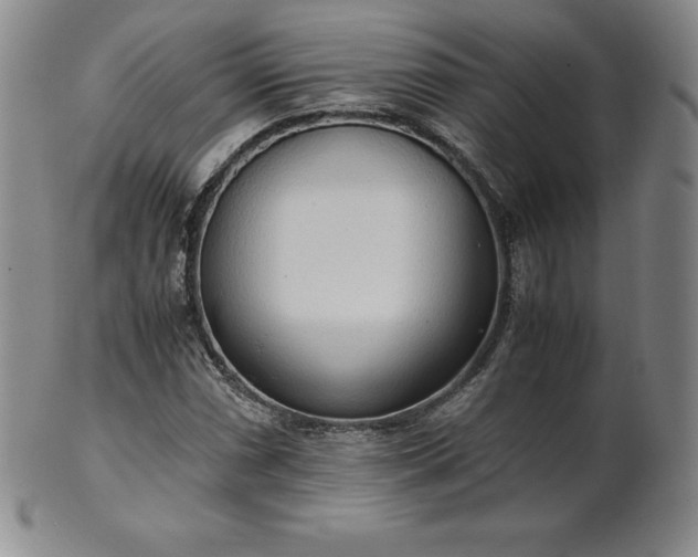 X0000101681066200807171406