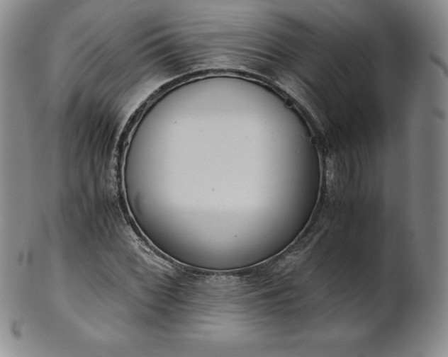 X0000101681068200807171406