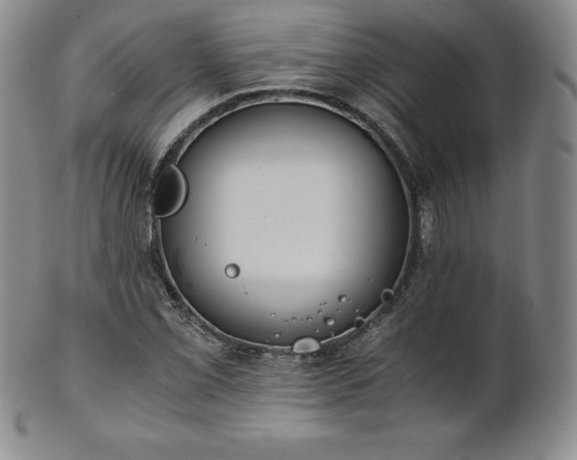 X0000101681069200807171406