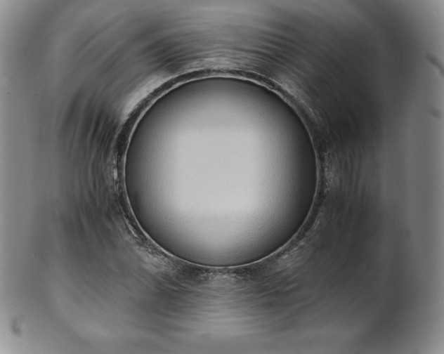 X0000101681070200807171406