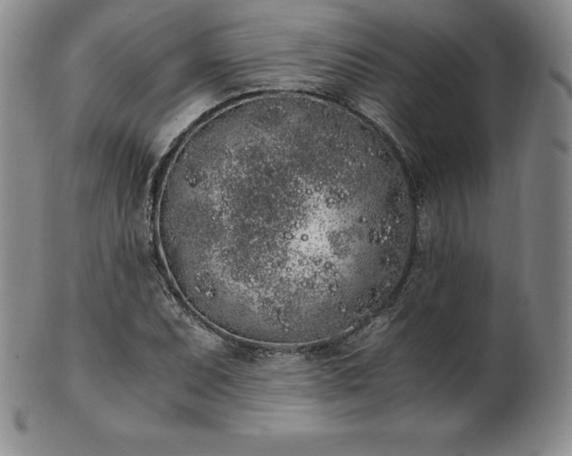 X0000101681071200807171406