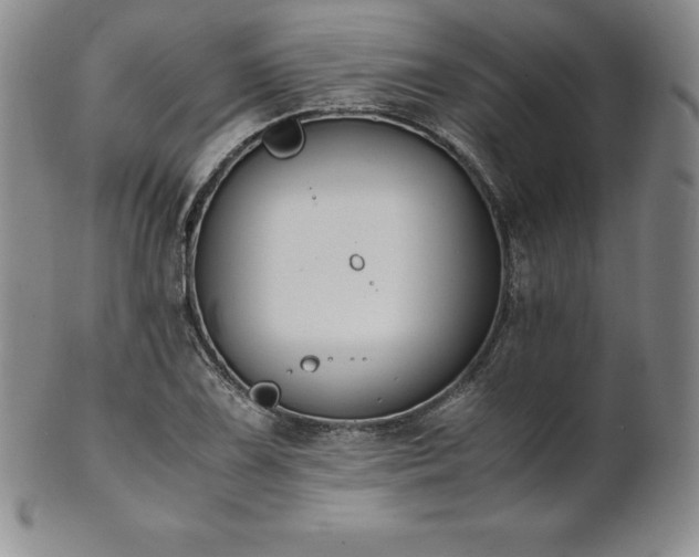 X0000101681075200807171406