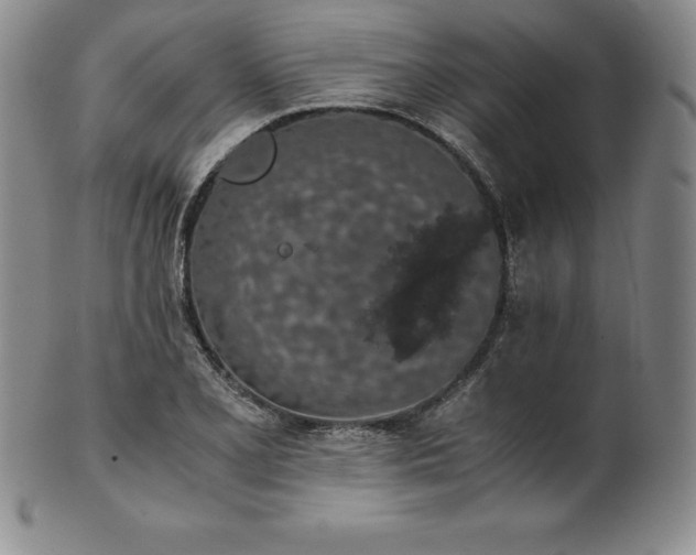 X0000101681077200807171406