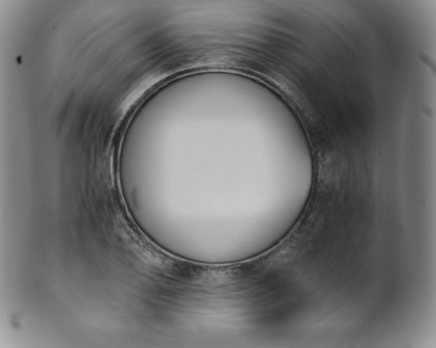 X0000101681078200807171406